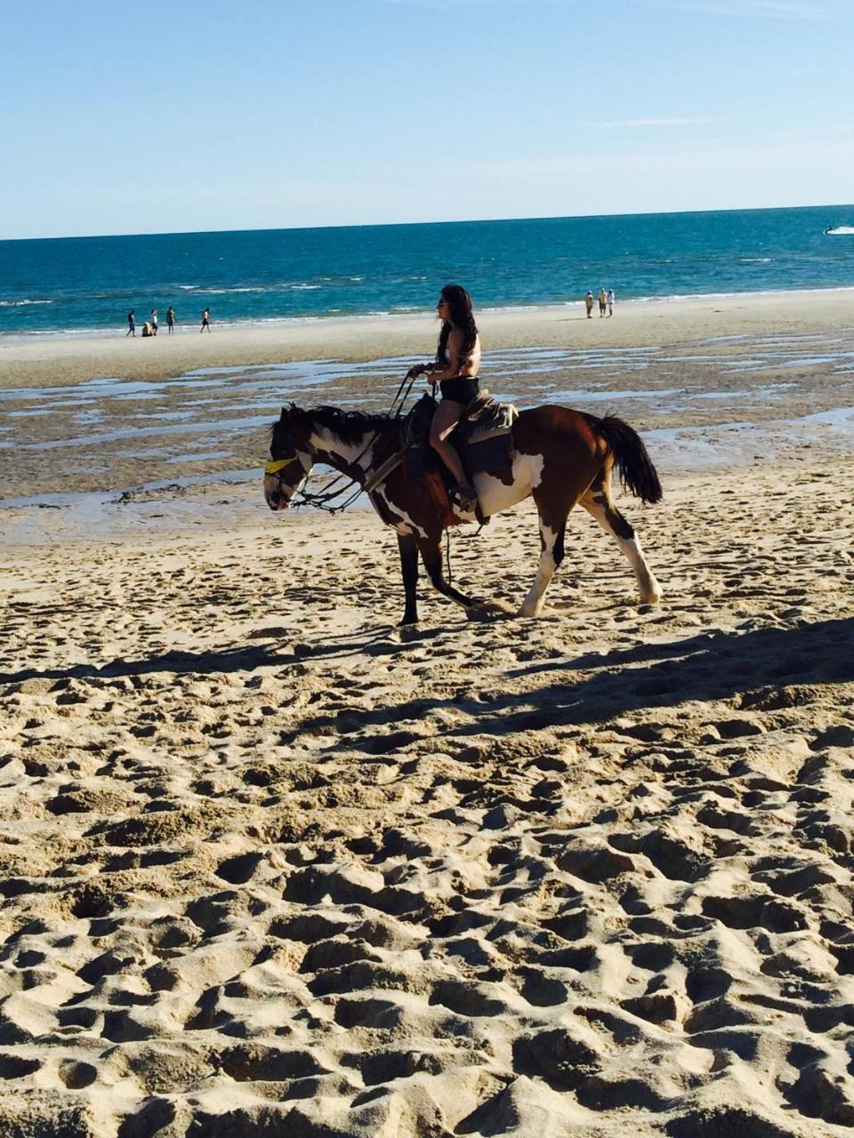 Sunny Daze Daire Puerto Peñasco Dış mekan fotoğraf